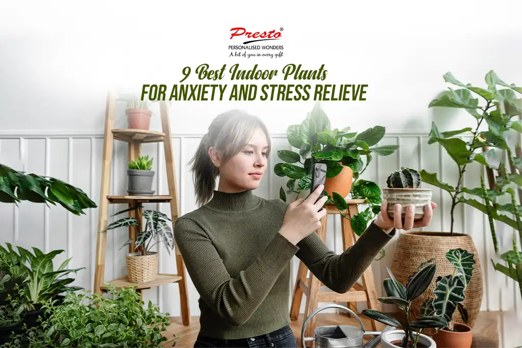 9 Best Indoor Plants for Anxiety and Stress Relieve