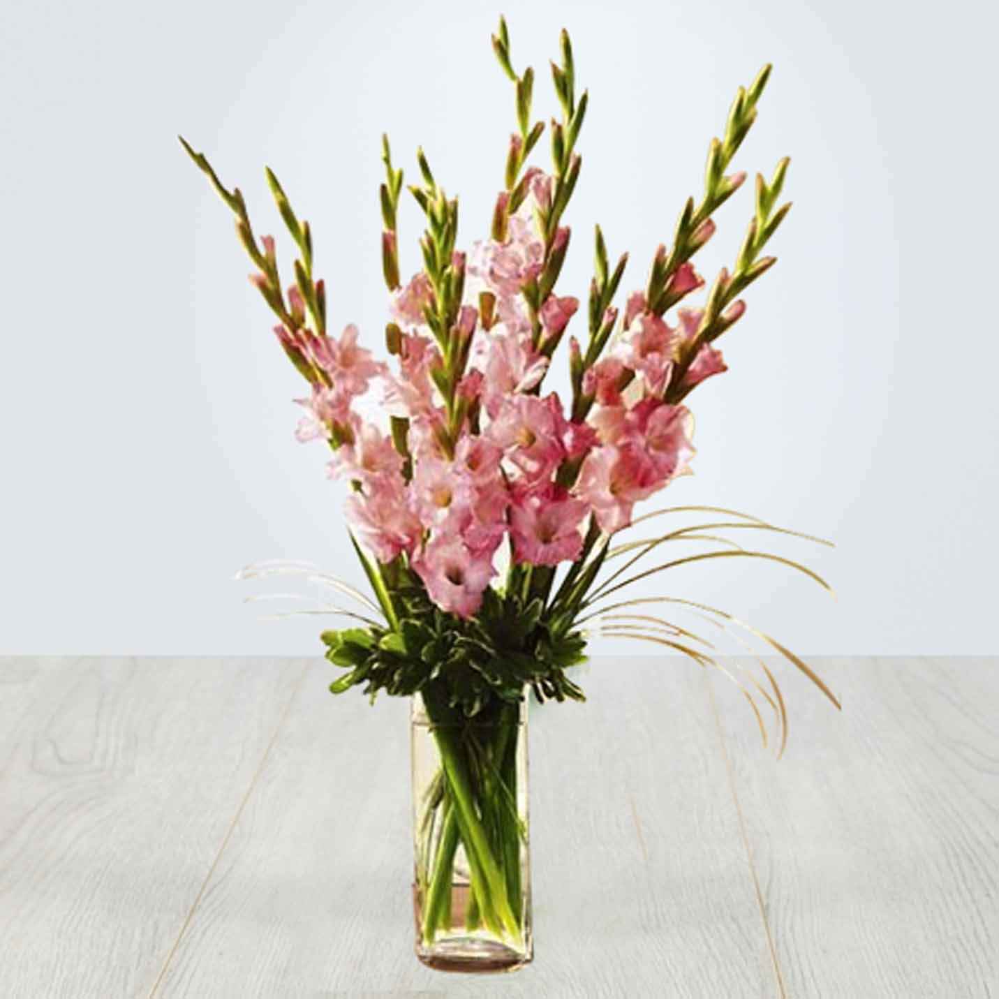Buy pink Gladiolus online Flower delivery Presto