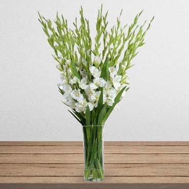 White Delight Gladiolus in a Glass Vase