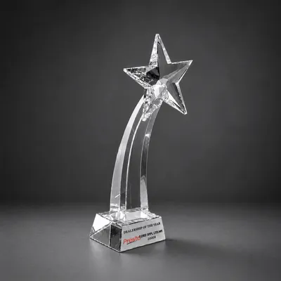 Trophy Awards