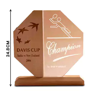 Acrylic Trophy with Wooden base