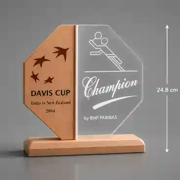 Acrylic Trophy with Wooden base