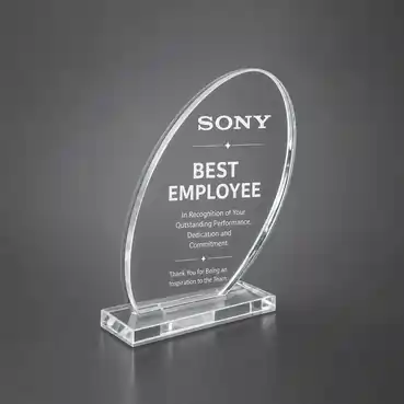 Corporate Acrylic Trophy For Employee