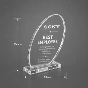 Corporate Acrylic Trophy For Employee