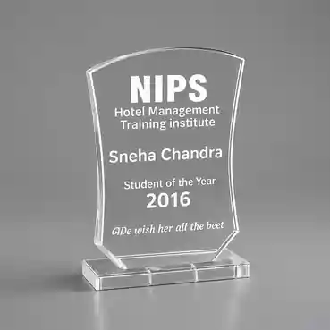 Achievement Acrylic Trophy Award