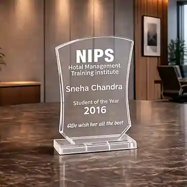 Achievement Acrylic Trophy Award