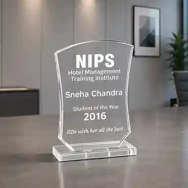 Achievement Acrylic Trophy Award