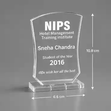 Achievement Acrylic Trophy Award
