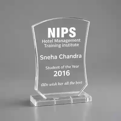 Achievement Acrylic Trophy Award