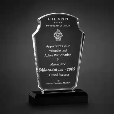 Unique Crystal Customized Trophy for any Corporate Event