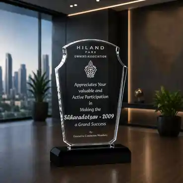 Unique Crystal Customized Trophy for any Corporate Event