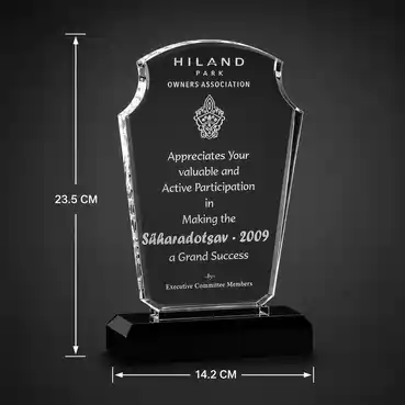 Unique Crystal Customized Trophy for any Corporate Event