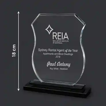 Customised Clear Crystal Memento Award