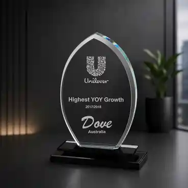 Customised Clear Crystal Memento Award