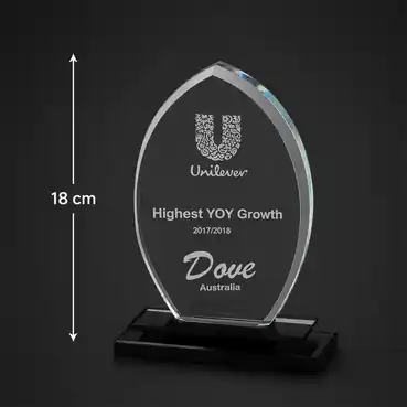 Customised Clear Crystal Memento Award
