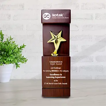 Personalised Wooden Star Trophy