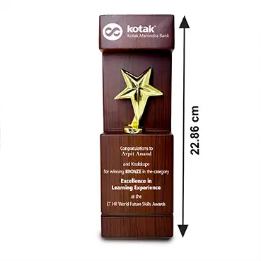 Personalised Wooden Star Trophy ( Size: 22.86 cm)