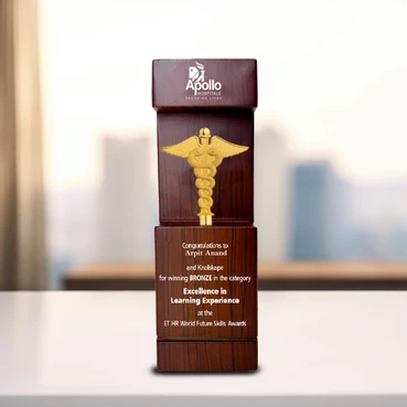 Deluxe Wooden Personalized Doctor Plaque