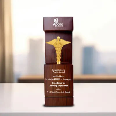 Deluxe Wooden Personalized Doctor Plaque