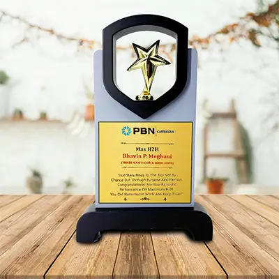 Top-tier Customised Wooden Star Trophy