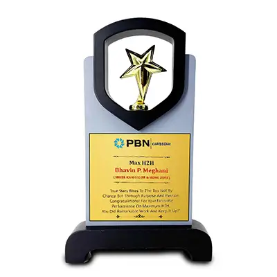 Customised Wooden Star Trophy