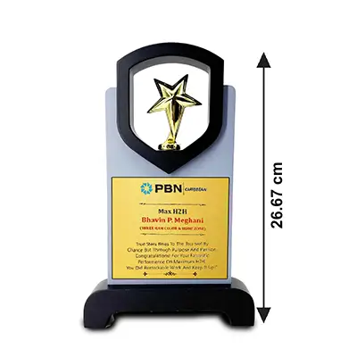 Top-tier Customised Wooden Star Trophy ( Size: 26.67 cm)