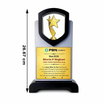 Star Wooden Appreciation Memento