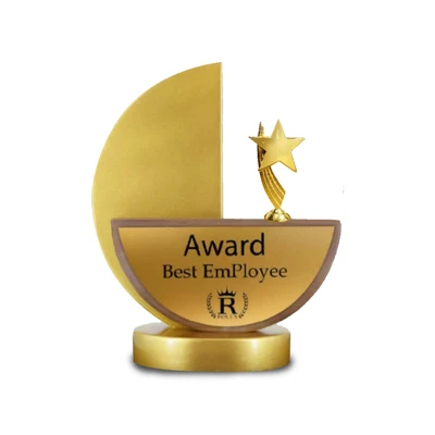 Customised Metal Star Trophy