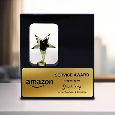 Customized Wood Frame Trophy with Metal Star - 11 inches-1