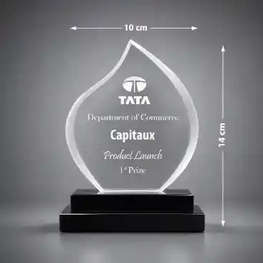 Crystal Flame Award with Black Base ( 14cm x 10cm )