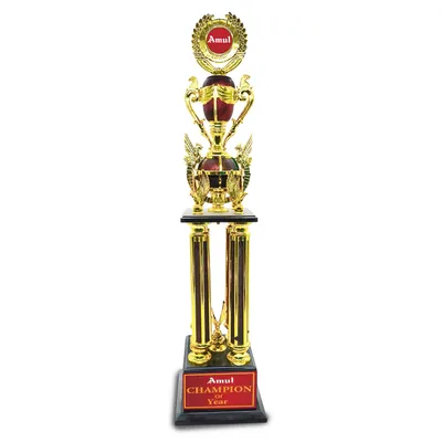 Personalised metal Trophy