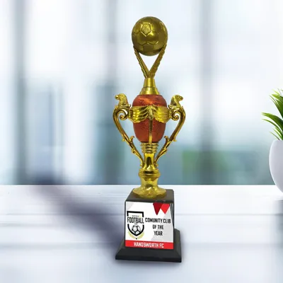 Classic Collection Of Metal Trophy for Winner