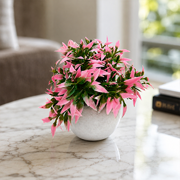 rtificial Green Plant in White Ceramic Pot for Home &amp; Office Decor