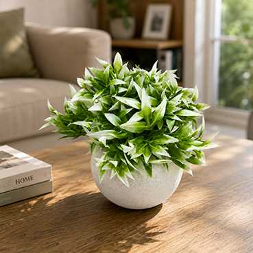 rtificial Green Plant in White Ceramic Pot for Home &amp; Office Decor