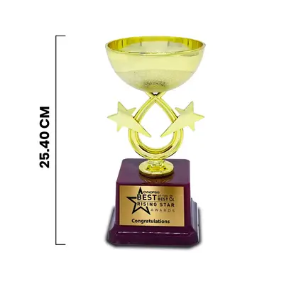 Custom Made Fiber Corporate Trophy (Size : 10 inch)1