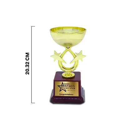 Custom Designed Fiber Corporate Trophy (Size : 8 inch)1