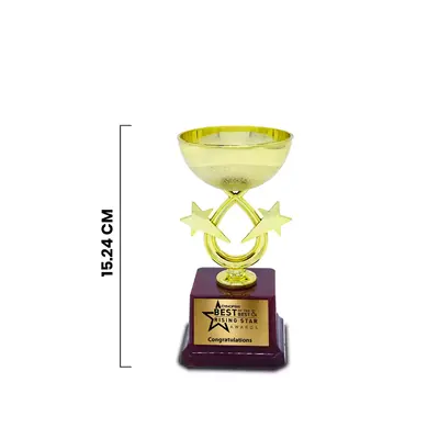 Customized Fiber Corporate Trophy ( Size : 6 inch)1