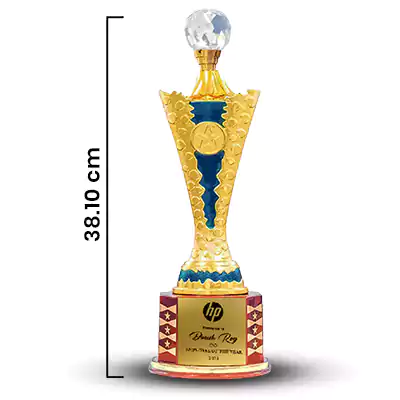 Customised Premium Fiber Corporate Award (Size : 11.5 inch)1