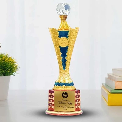 Customised Premium Fiber Corporate Award (Size : 11.5 inch)1