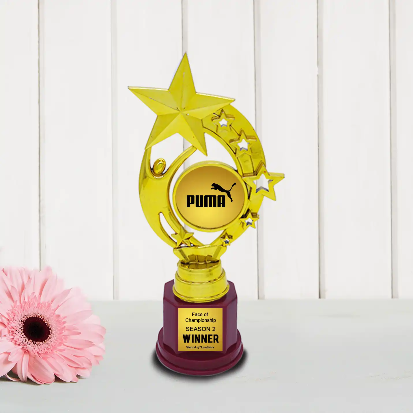 Customized Corporate Star Trophy (Size : 8.5 inch)