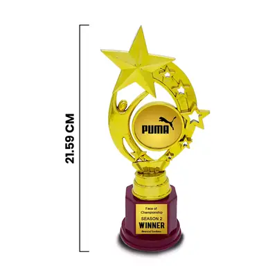 Customized Corporate Star Trophy (Size : 8.5 inch)1