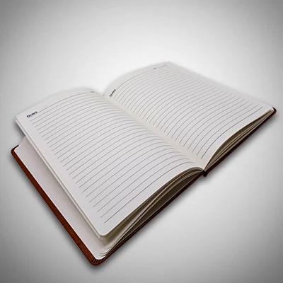 Corporate Brown Diary with Brand