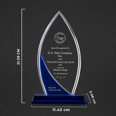 Elegant Crystal Trophies For Leaders