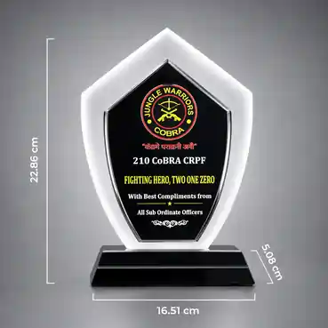 Name & Logo Printed Crystal Awards