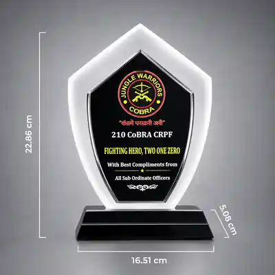 Name & Logo Printed Crystal Awards