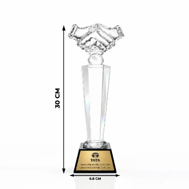 custom made Crystal Handshake Leadership Trophy