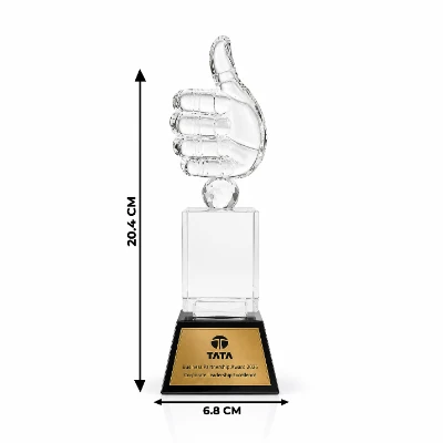 Custom made Premium Crystal Appreciation Trophy