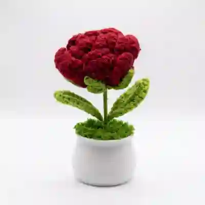 Handmade crochet Red Rose in White Ceramic Pot