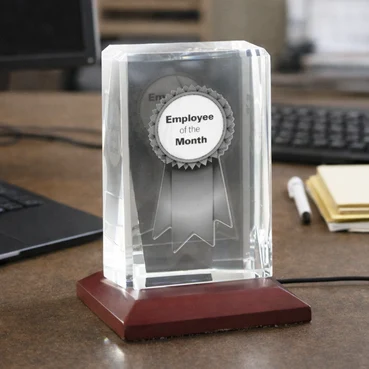 Exquisite Personalized 3D Crystals Awards